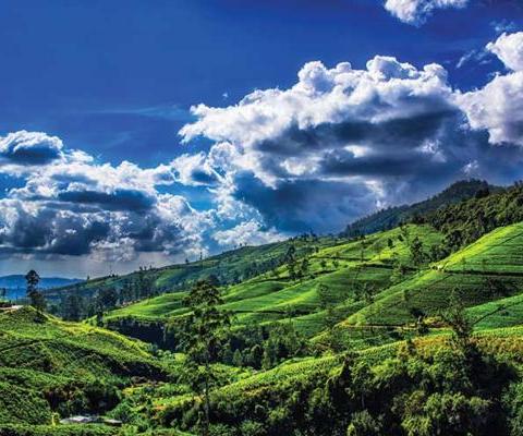 Kuoni has a new property in Sri Lanka's hill country