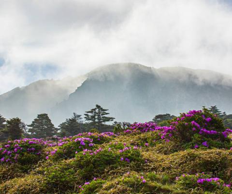 Jeju island in South Korea