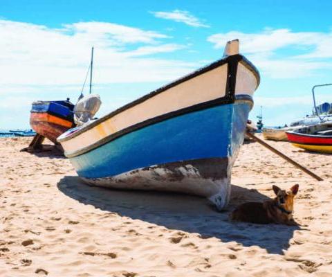 Cape Verde 2.jpg