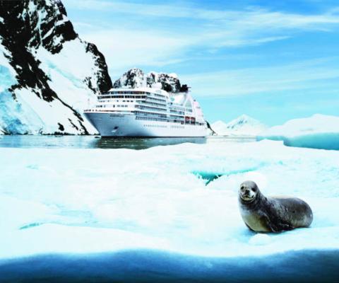 SEABOURN QUEST in Antartica with a seal.jpg
