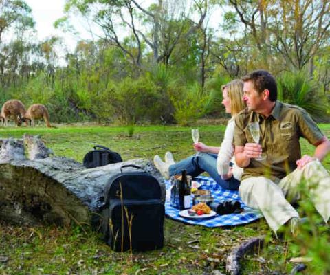 The-Louise-Breakfast-with-the-Kangaroos.jpg