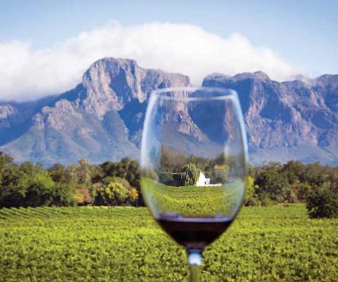 South Africa wine