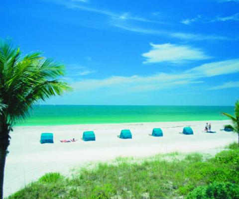 Beach_scenic_S4k24e1VZ5XhIfg33p8JG9o.jpg