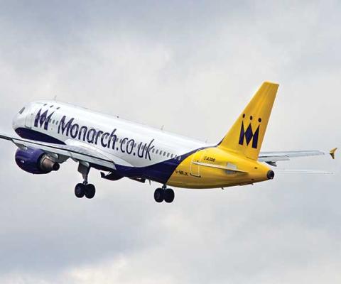Monarch flies into the distance