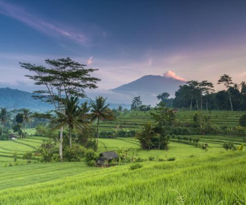 Bali volcano.jpg
