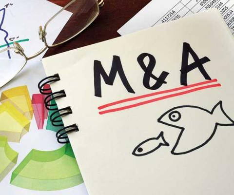 Mergers and acquisitions, M&A