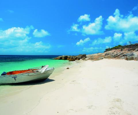 105670_LizardIsland.jpg