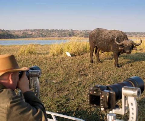 Botswana explorer activities safari