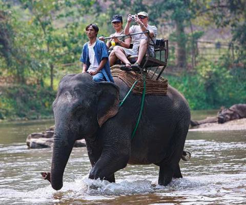 Elephant trek