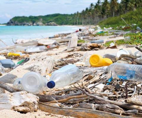 Trash, litter and refuse on the beach