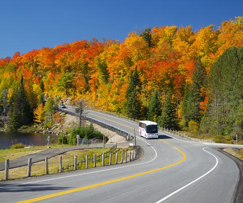 parkbus.aerial.algonquin.jpg