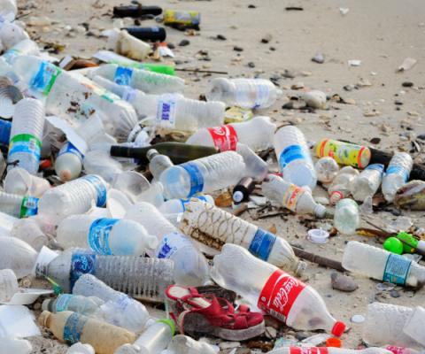 iStock-656370522 Plastics Beach Waste.jpg