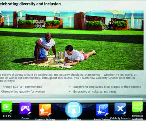 Celebrity Diversity Module.jpg