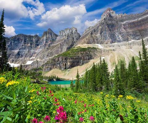 American national park