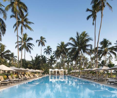 Dreams of Zanzibar.jpg