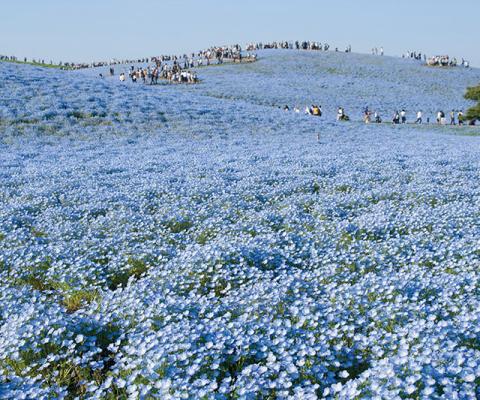 Seaside Park 2 mod.jpg