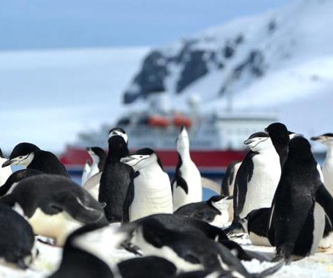 Expedition cruise specialist reports record-breaking July