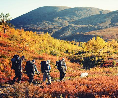 Finland-autumn.jpg