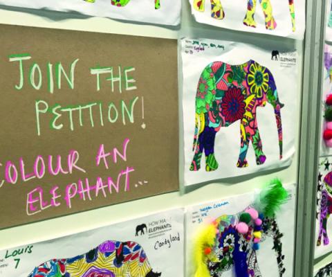 Holly Budge How Many Elephants.jpg