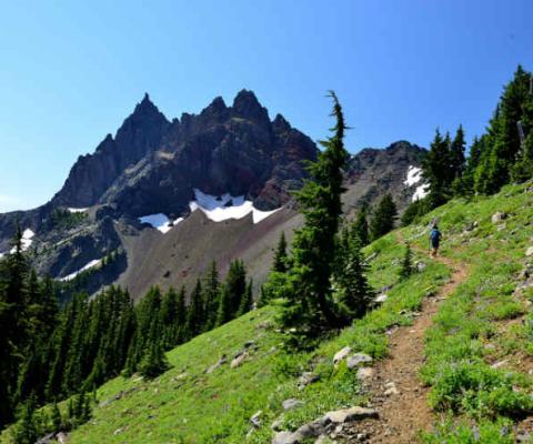 Oregon Hiking.jpg