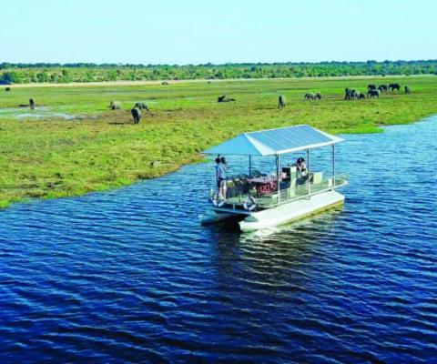 Electric boats at Chobe Game Lodge help guests get closer to the wildlife