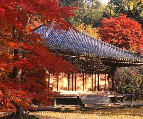 Oita Fuki-ji temple, Japan