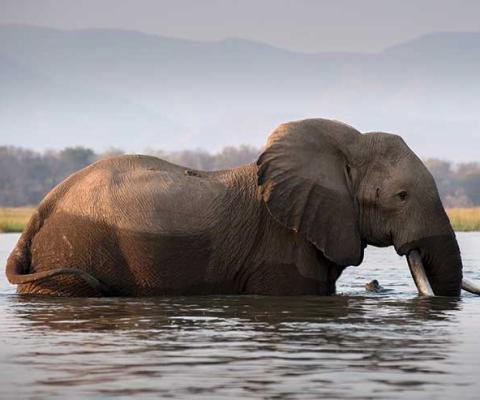 The Zambezi river, Zimbabwe, which has been included in the Kuoni list