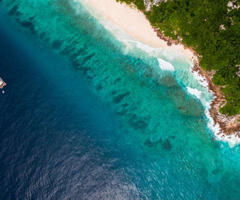 The Seychelles will reopen to international tourists from 25 March with only a pre-departure test requirement