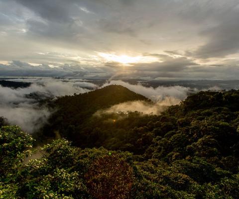 Mashpi Lodge & Choco Cloud Forest (7).jpg
