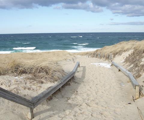 Race Point Beach_cred William DeSousa-Mauk.jpg
