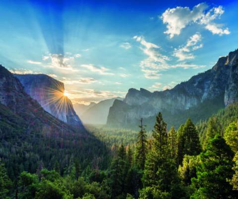 Yosemite national park