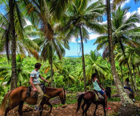 Salto El Limón Dom Rep .jpg