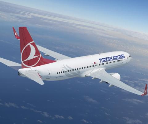 Turkish Airlines 737.jpg