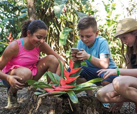 Costa Rica Rincon de la Vieja Kids iNaturalist App Frog