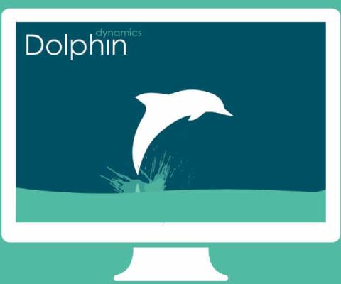 Dolphin Dynamics.jpg