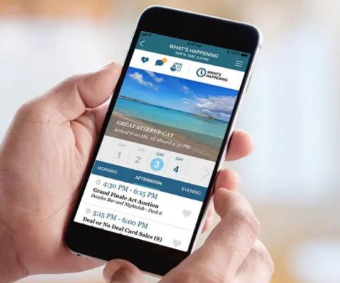 Norwegian App (1).jpg