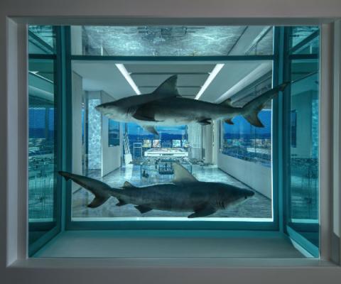 Empathy Suite Winner_Loser