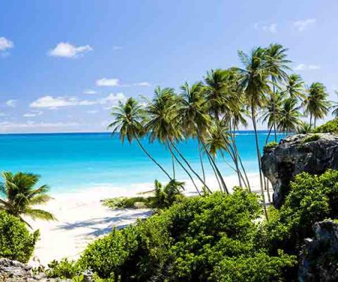 The UK and Ireland will be added to Barbados's high-risk countries list from Thursday (1 October)