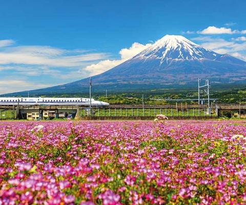 Railbookers Bullet Train passes Mount Fuji