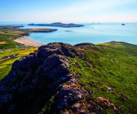 Domestic tourism is likely to be the first sector to recover in the coming months