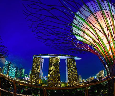 Gardens By The Bay with Marina Bay Sands hotel behind (supplied by STB).jpg