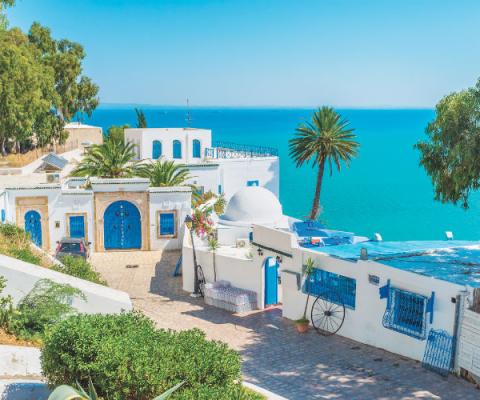 Tunisia iStock-498116298.jpg
