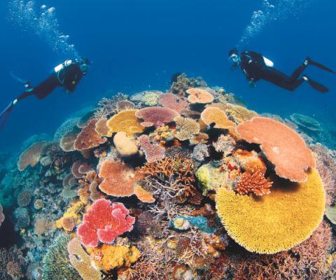 First Class Holidays Great Barrier Reef.jpg