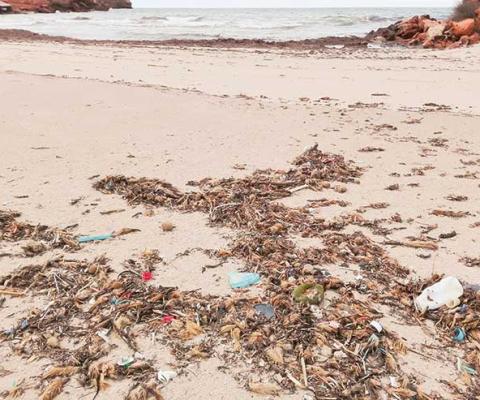 Refuse on a deserted beach