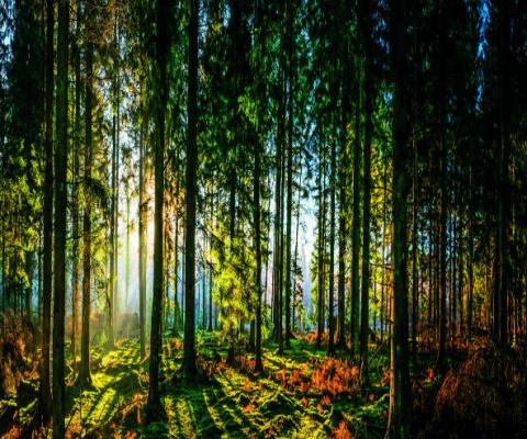 We’ll get back to nature