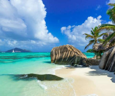 Seychelles - Beach.jpg