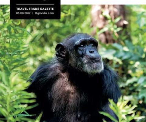 Travel Trade Gazette 5 August 2019