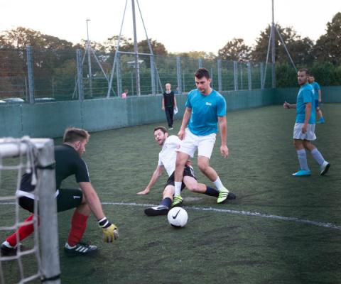 Dolphin Dynamics Five Side Web.jpg