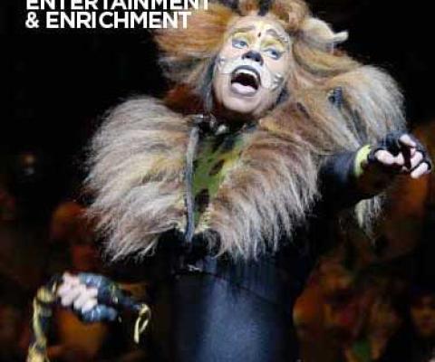 Guide to Cruise Entertainment & Enrichment 2017