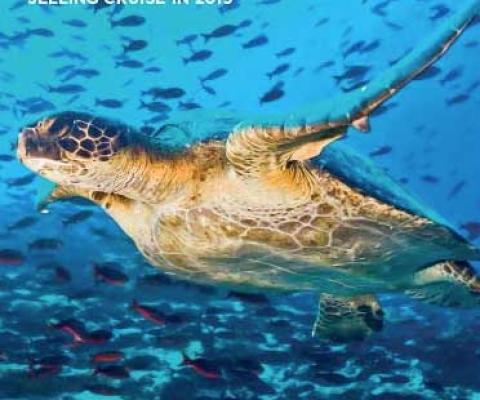 Guide to Selling Cruise in 2019